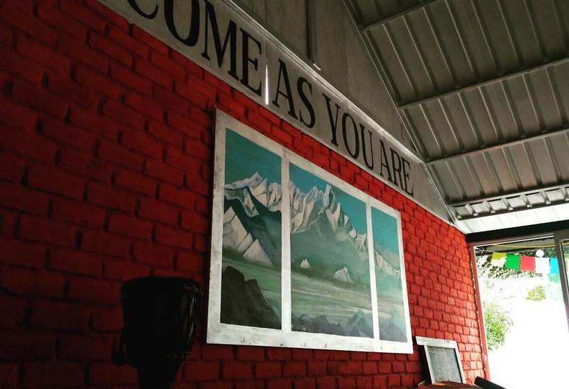 Bed and Breakfast Yolo Backpackers Hostel 7