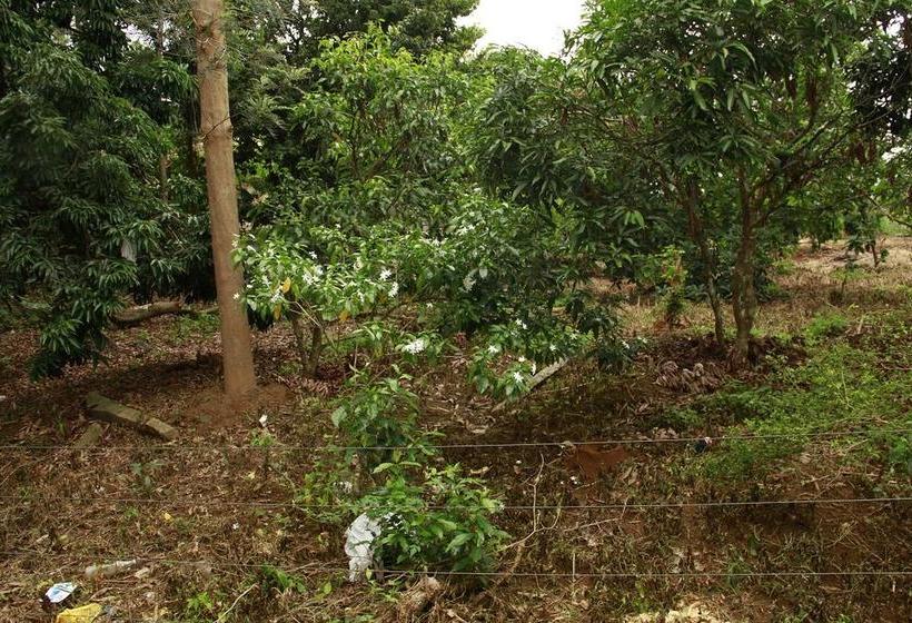 Hotel Rasha Residancy 14