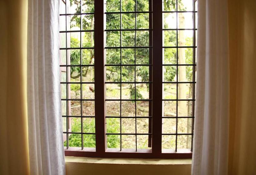 Hotel Rasha Residancy 2