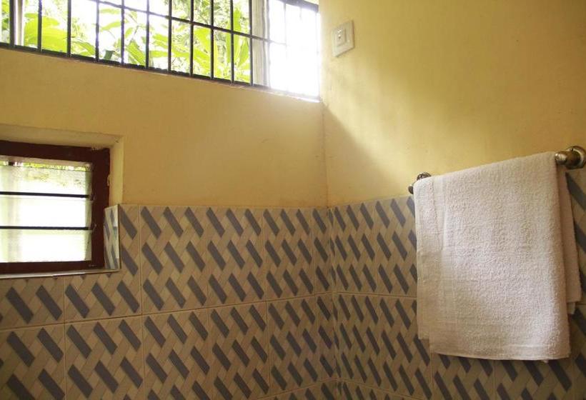 Hotel Rasha Residancy 4