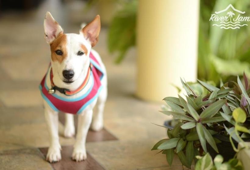 Resort River Jam Amphawa 2