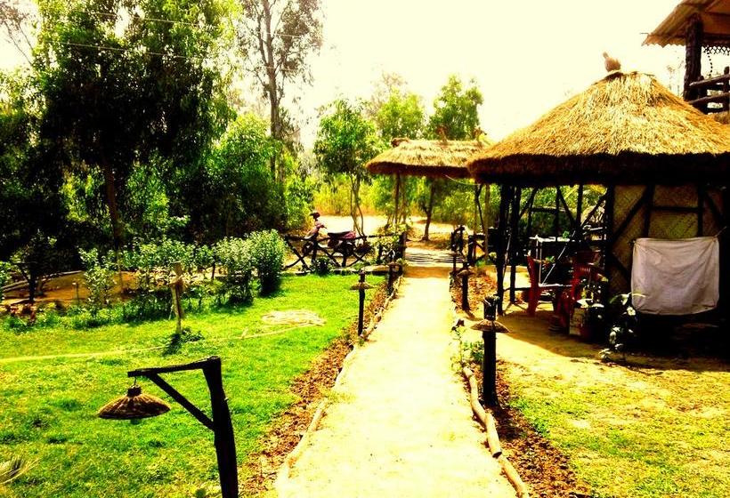 Roshnai Village Resort 12