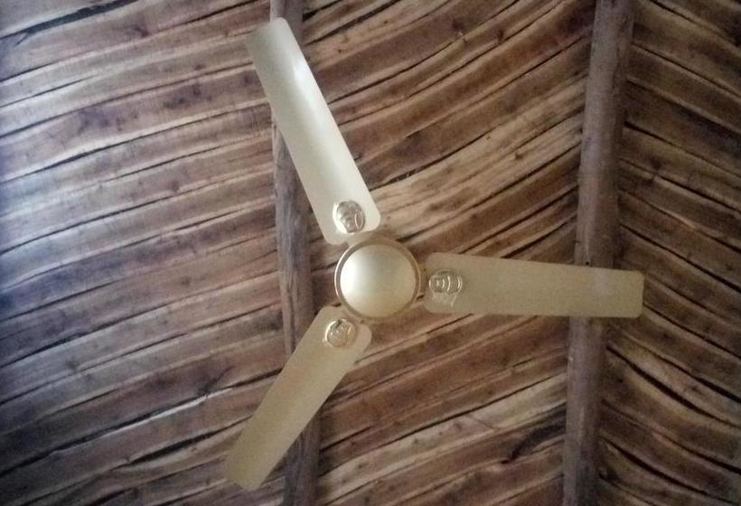 Roshnai Village Resort 14