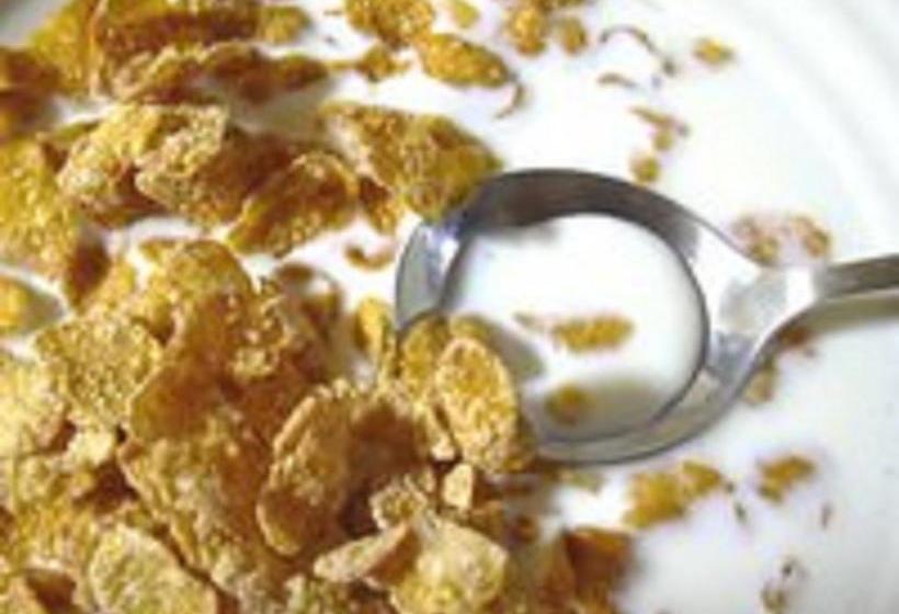 Bed & Breakfast Lions Rest Guest House 2