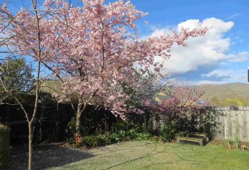 Silverlights B & B 6