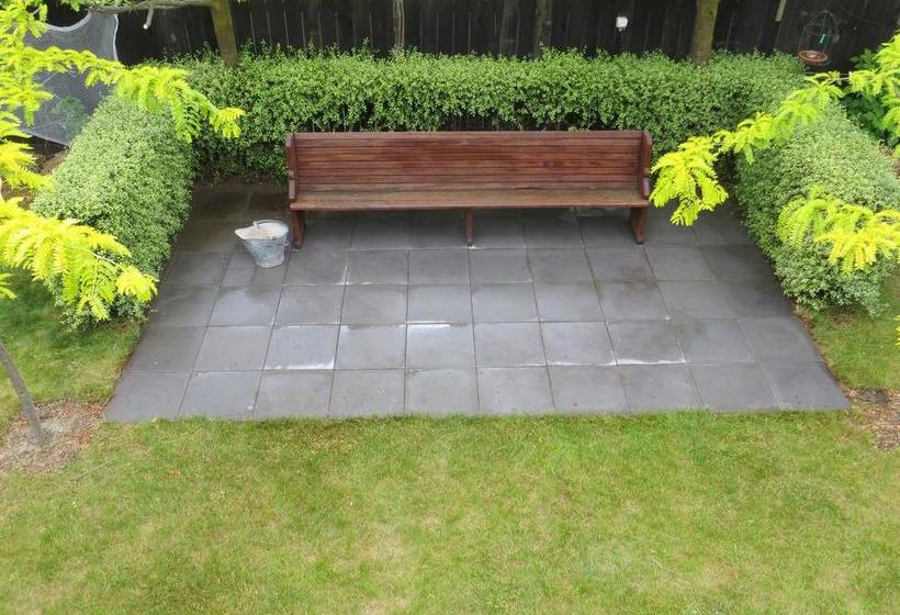 Silverlights B & B 8