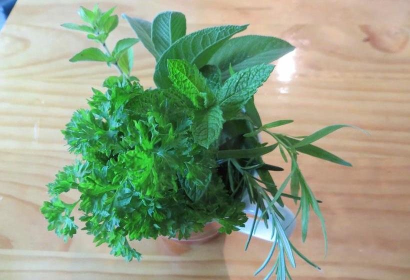 Silverlights B & B 9