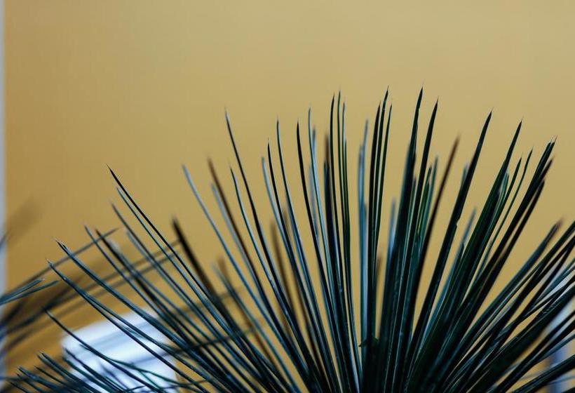 Bed and Breakfast The Hedge Guesthouse 12