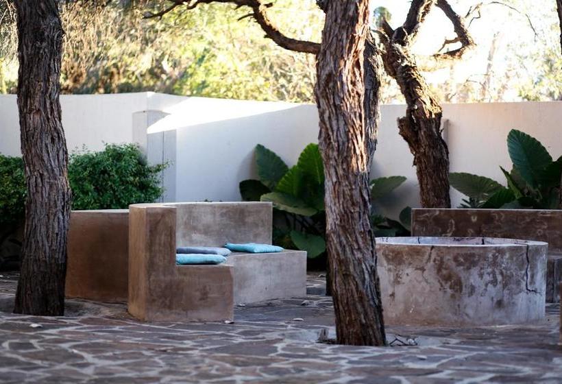 Bed and Breakfast The Hedge Guesthouse 14