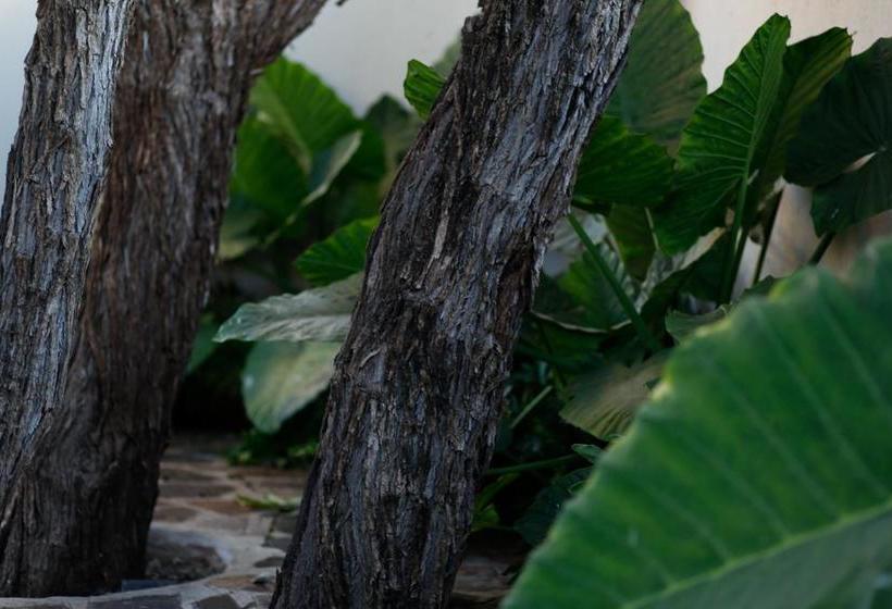 Bed and Breakfast The Hedge Guesthouse 15