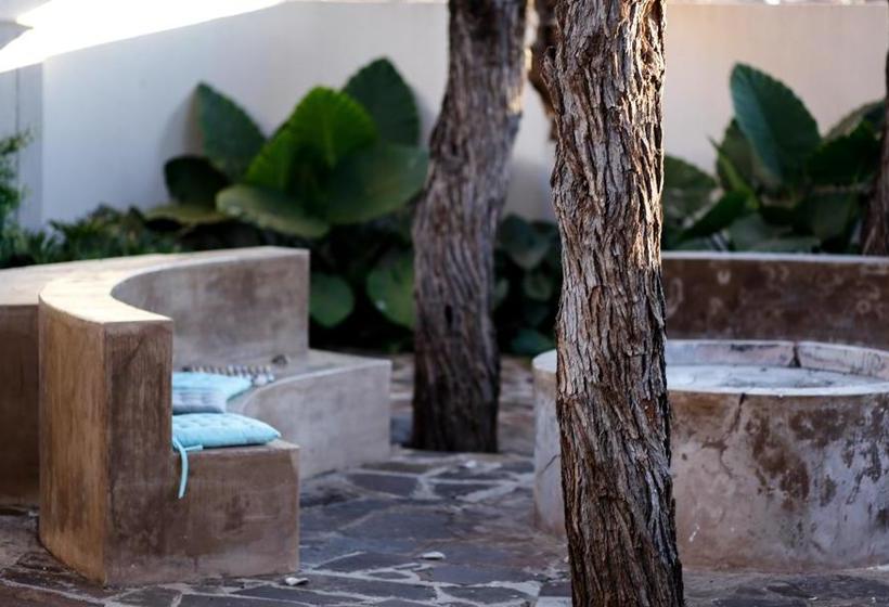 Bed and Breakfast The Hedge Guesthouse 16