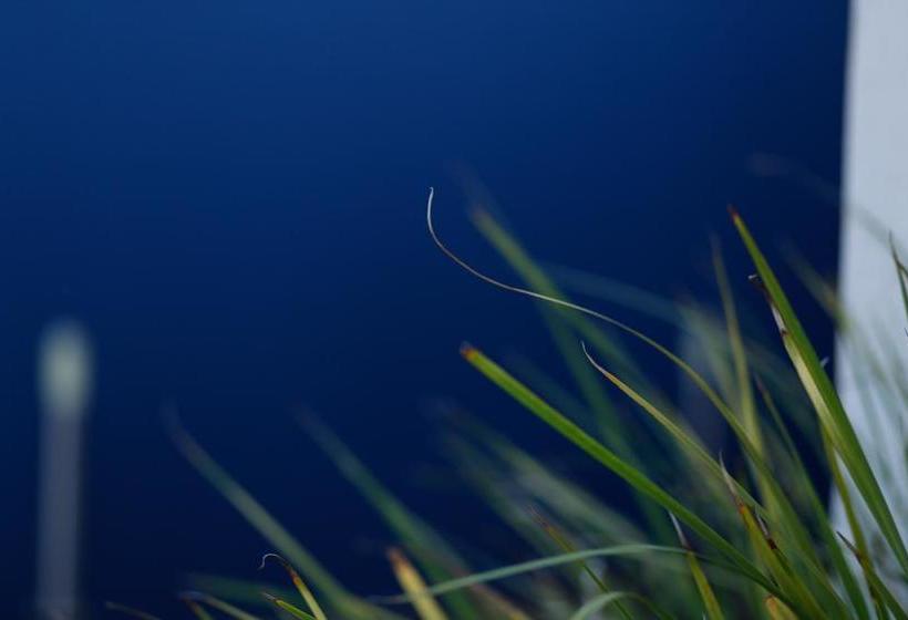 Bed and Breakfast The Hedge Guesthouse 20