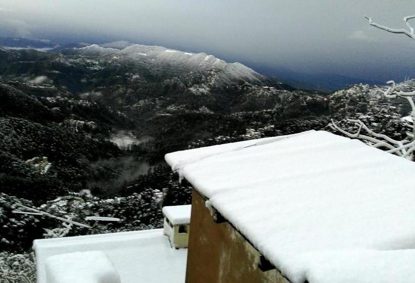 Bed and Breakfast The Thistle Lodge 20