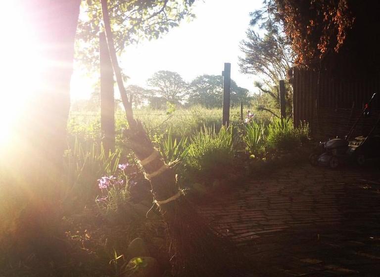 Bed and Breakfast Walnut Tree Cottage 8