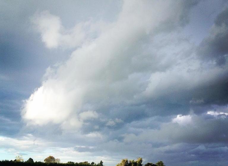 Bed and Breakfast Walnut Tree Cottage 9