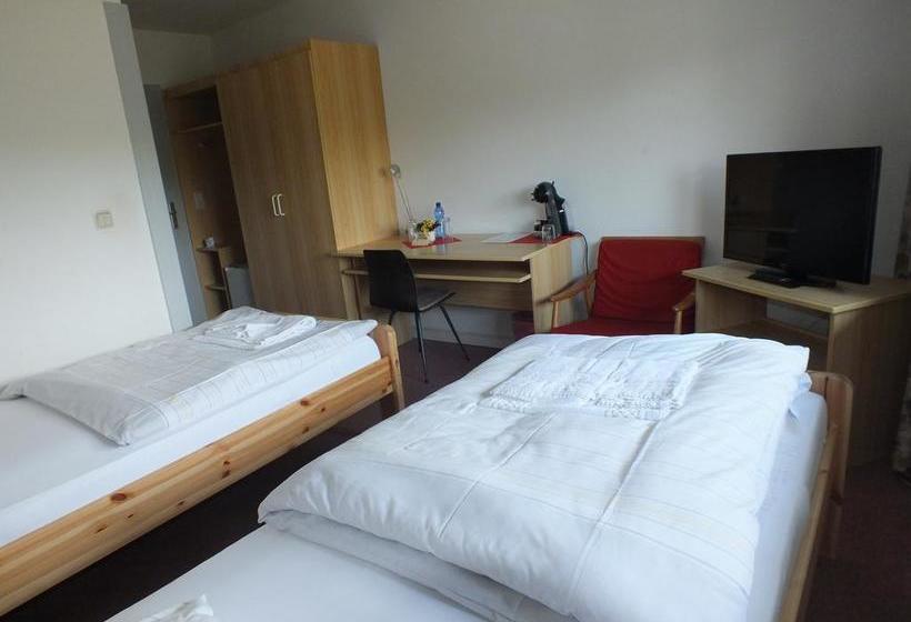 Hotel Gastehaus Hassloch/pfalz 14