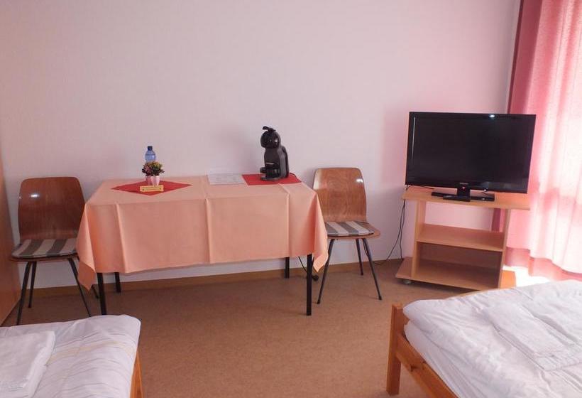 Hotel Gastehaus Hassloch/pfalz 16