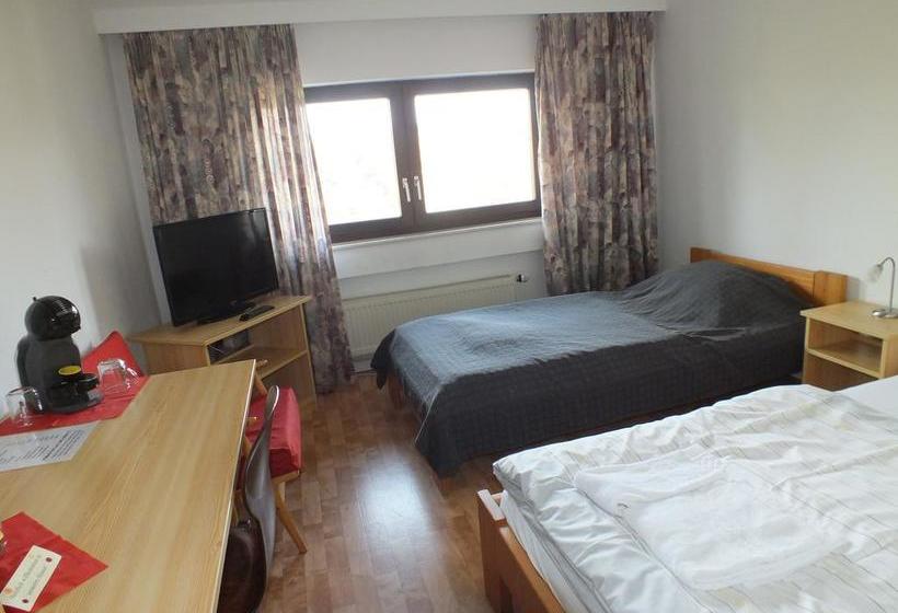 Hotel Gastehaus Hassloch/pfalz 7