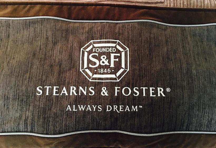 Hotel Luxfit & Spa 16