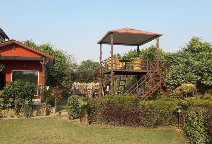 Hostel Delhi House 6