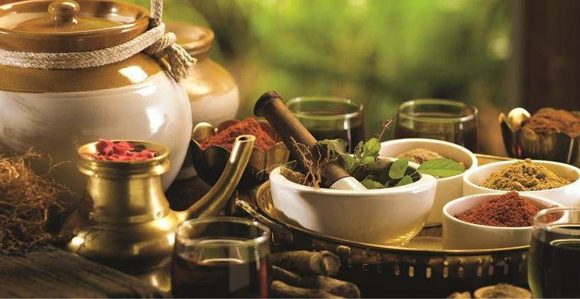 Resort Bhela Centre For Ayur Research 1