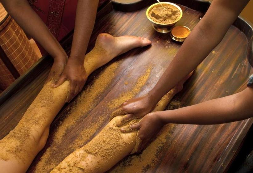 Resort Bhela Centre For Ayur Research 2