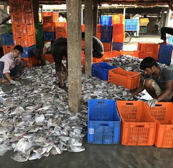 Hotel Hindustan Inn 20