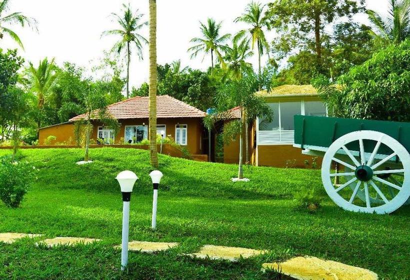 Aurum White Lily Resort 10