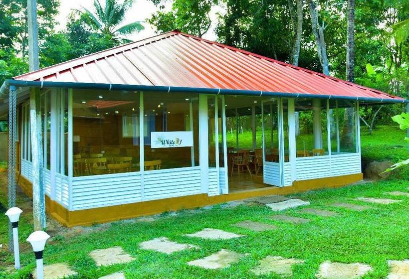 Aurum White Lily Resort 15