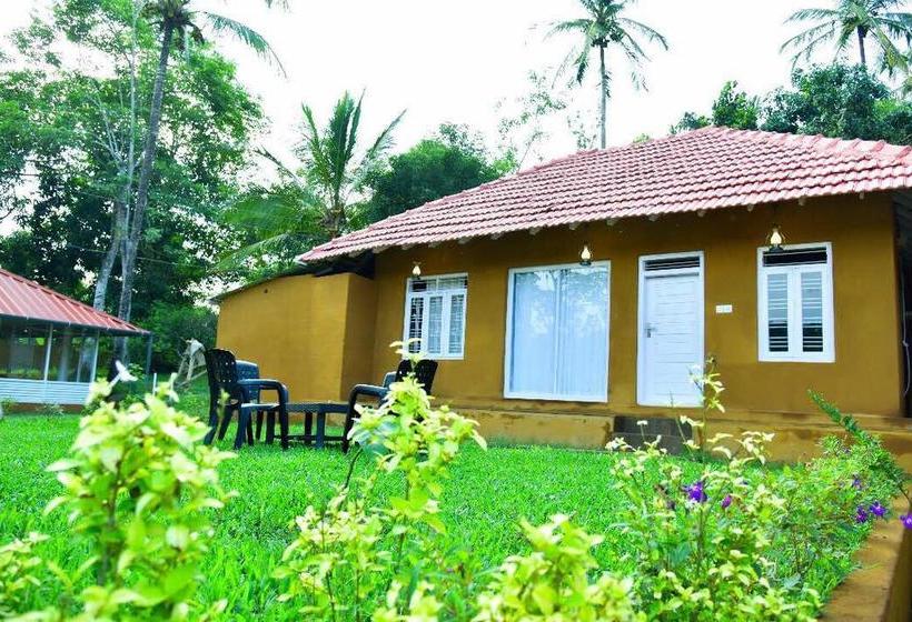 Aurum White Lily Resort 8