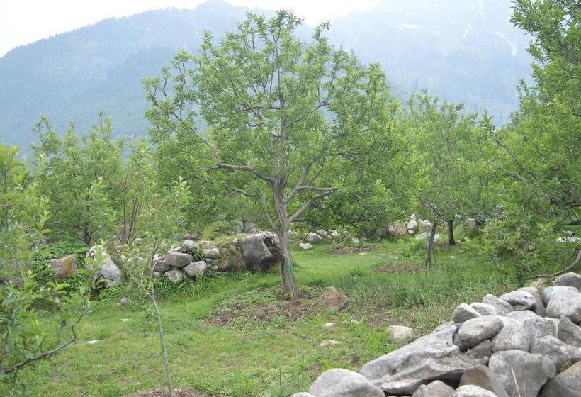 Bed and Breakfast 7woodz 1