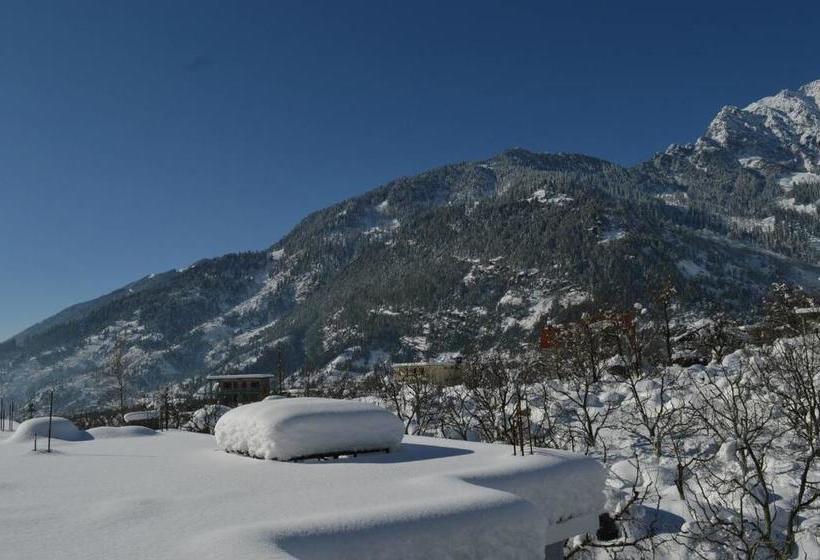 Bed and Breakfast 7woodz 13