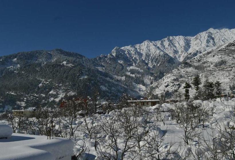 Bed and Breakfast 7woodz 14