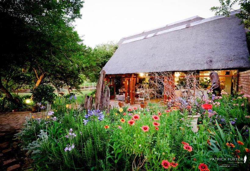 Hotel Intundla Game Lodge & Bush Spa 5