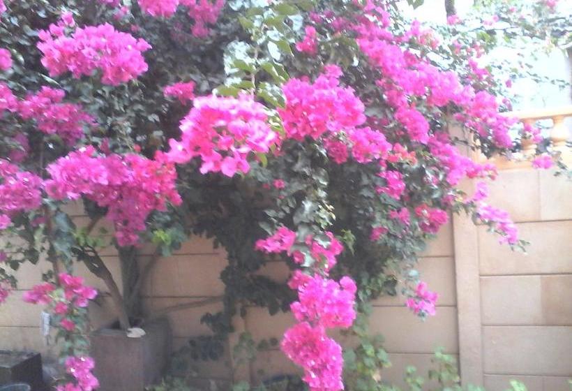 Bed and Breakfast Best Location Cape Town 3