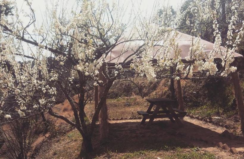 Hotel Way Wood Wind Lodge 5