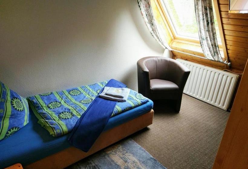 Hotel Stahlbad Bad Peterstal 12