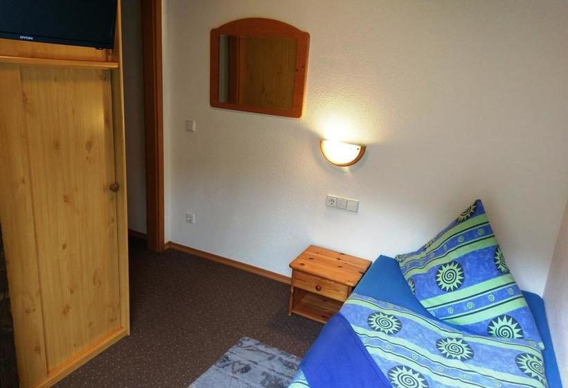 Hotel Stahlbad Bad Peterstal 13