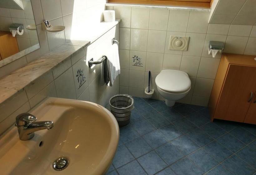 Hotel Stahlbad Bad Peterstal 14