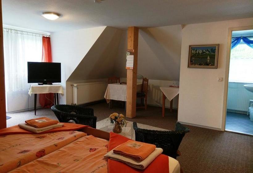 Hotel Stahlbad Bad Peterstal 15