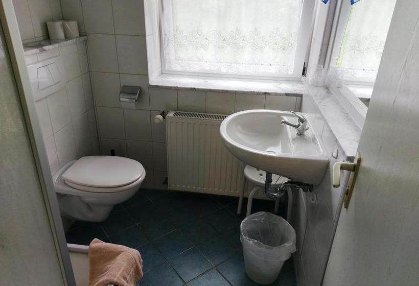 Hotel Stahlbad Bad Peterstal 16