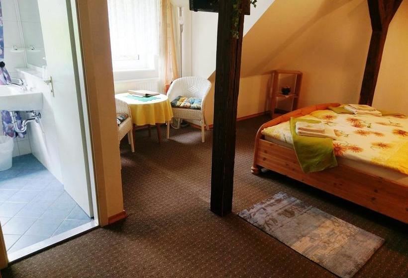 Hotel Stahlbad Bad Peterstal 17