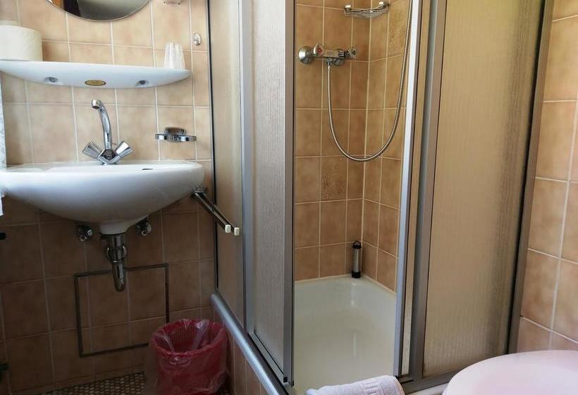 Hotel Stahlbad Bad Peterstal 19