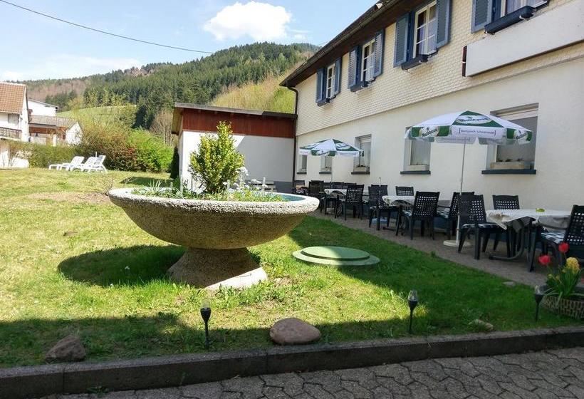 Hotel Stahlbad Bad Peterstal 2