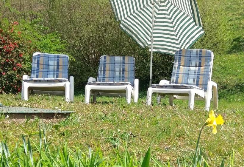 Hotel Stahlbad Bad Peterstal 20