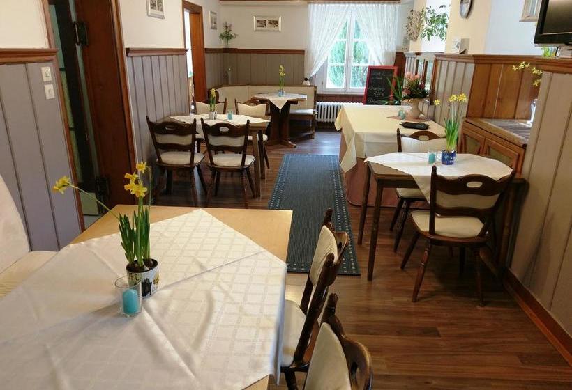 Hotel Stahlbad Bad Peterstal 4