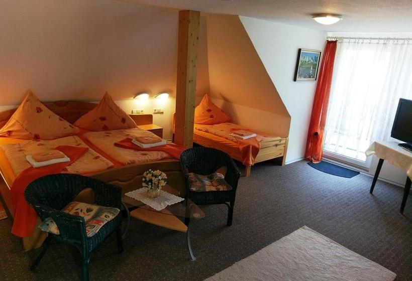 Hotel Stahlbad Bad Peterstal 6