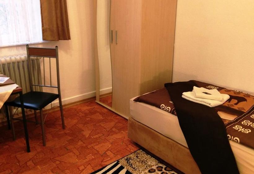 Hotel Stahlbad Bad Peterstal 9