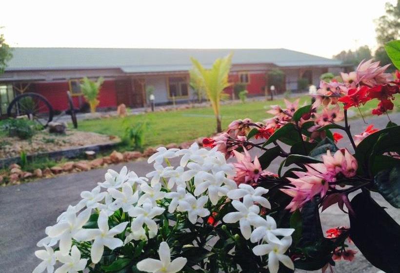 Resort Eurasia Resotel 11