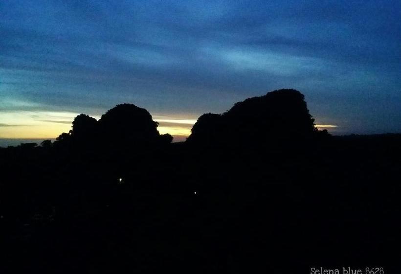 Hotel Sunrise Inn 12